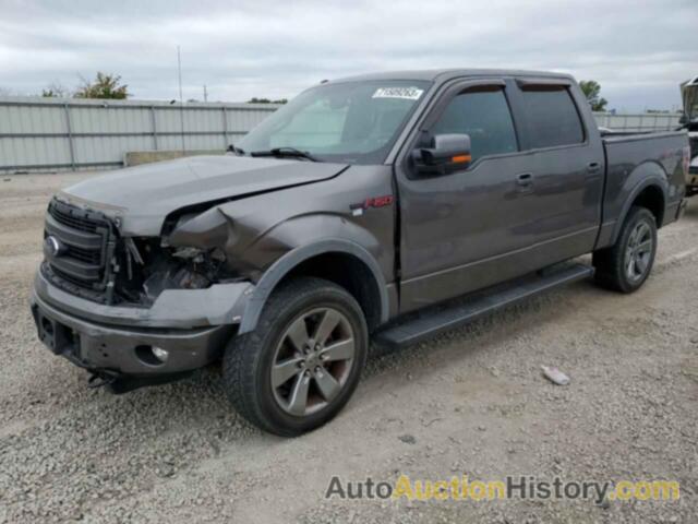 FORD F-150 SUPERCREW, 1FTFW1EF6EFA09690