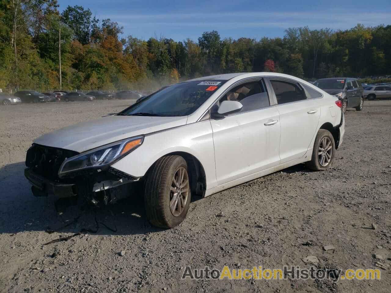 HYUNDAI SONATA SE, 5NPE24AF7HH491417