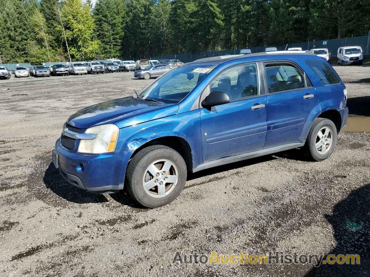 CHEVROLET EQUINOX LS, 2CNDL13F396218576