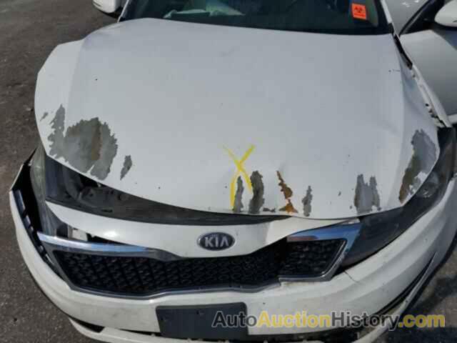 KIA OPTIMA LX, 5XXGM4A7XDG204573