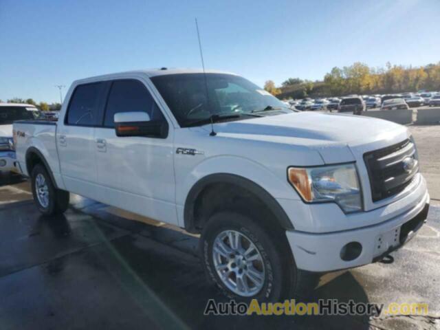 FORD F-150 SUPERCREW, 1FTFW1EF8DFC81043