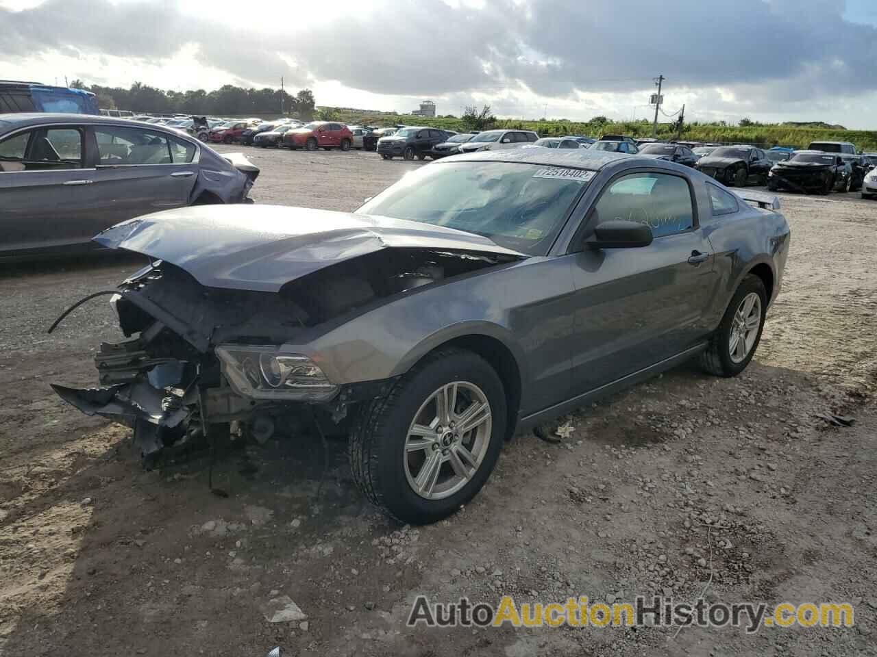 2013 FORD MUSTANG, 1ZVBP8AMXD5238268