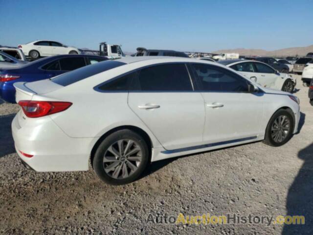 HYUNDAI SONATA SPORT, 5NPE34AF8HH538936