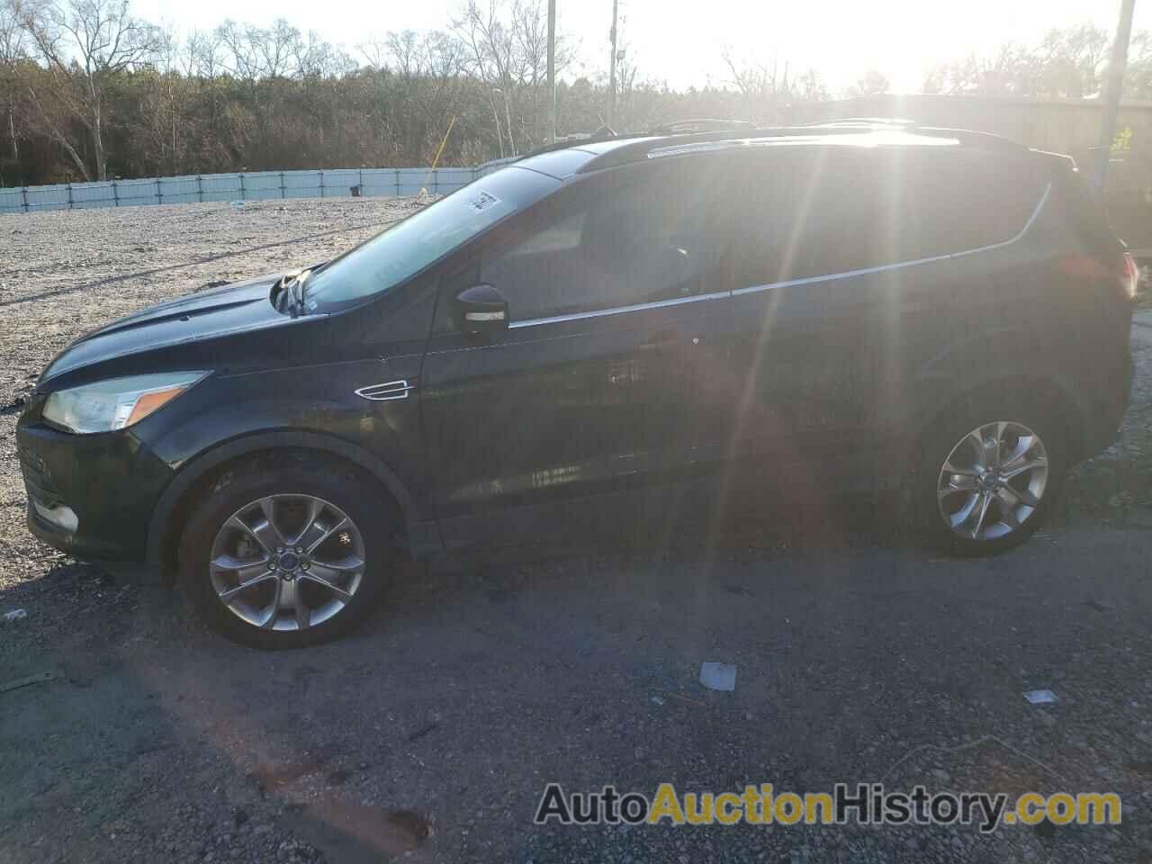 2013 FORD ESCAPE SEL, 1FMCU0HX9DUB07979