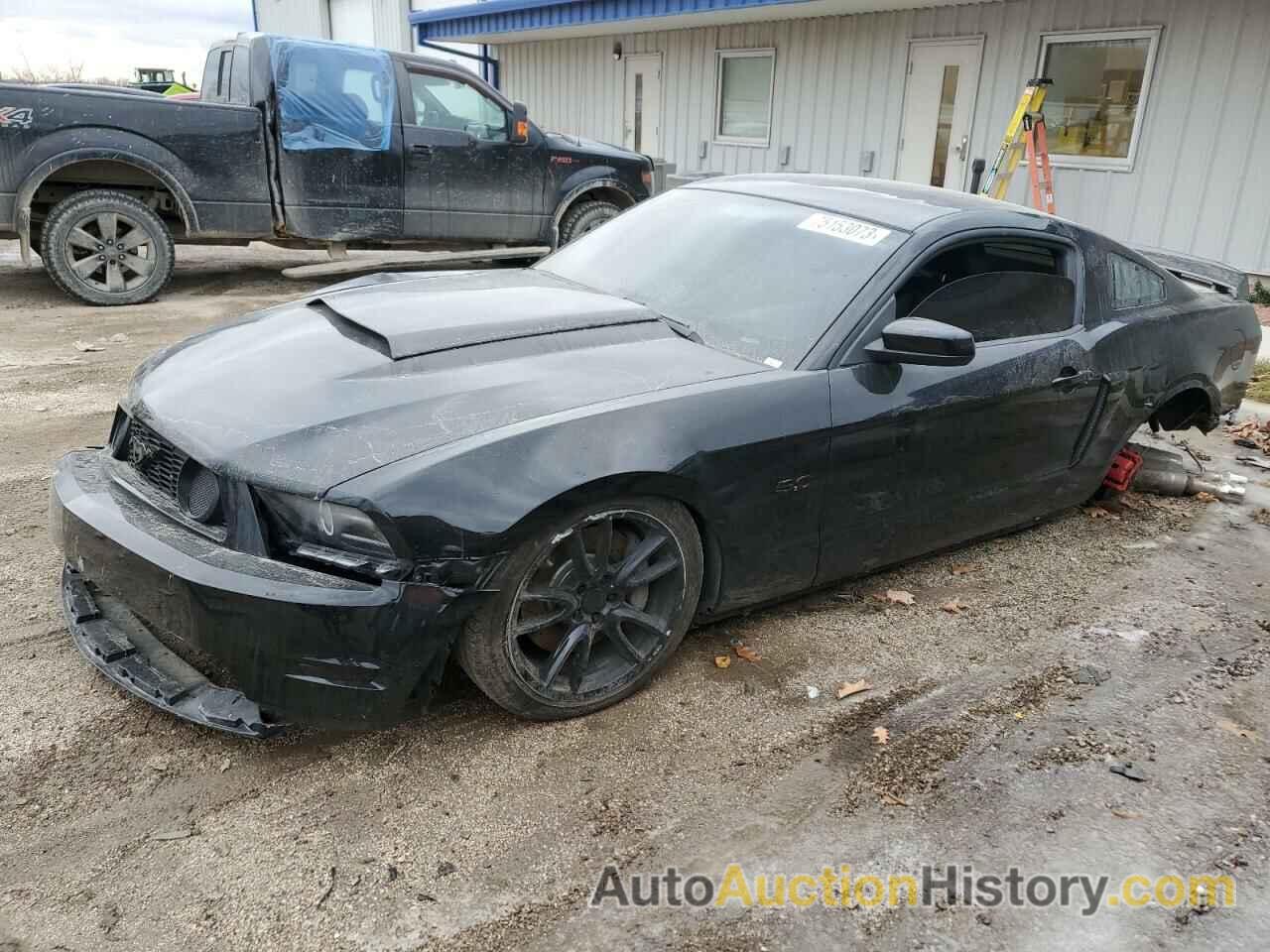 FORD MUSTANG GT, 1ZVBP8CF9B5124872