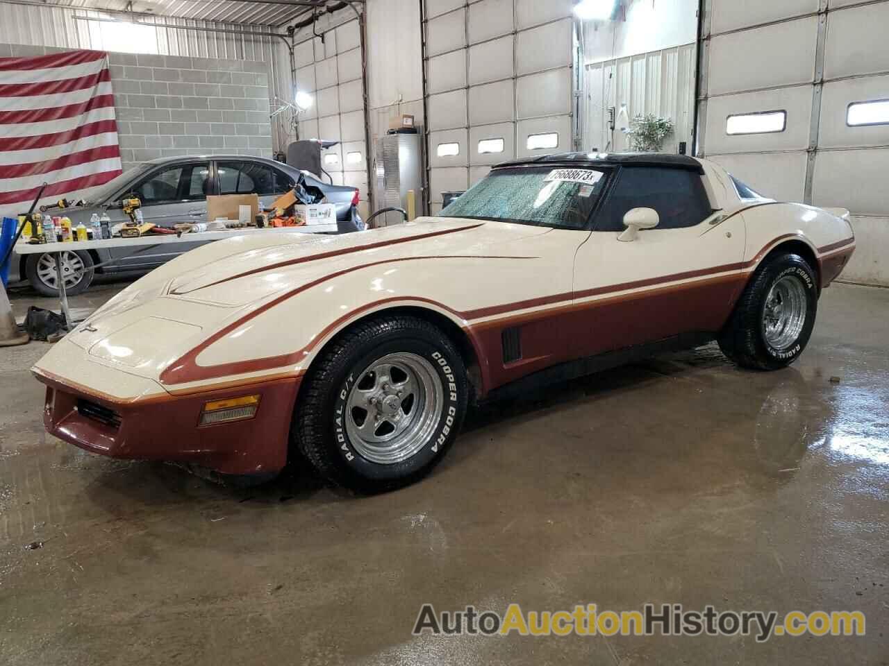 1981 CHEVROLET CORVETTE, 1G1AY8761BS412739