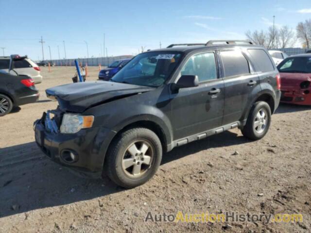 FORD ESCAPE XLT, 1FMCU0D73BKB72681