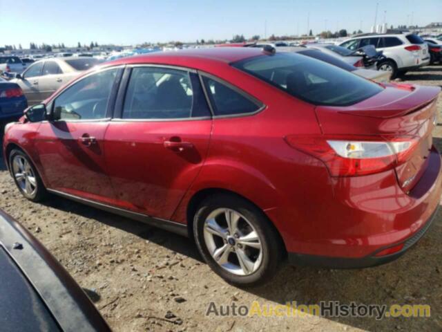 FORD FOCUS SE, 1FAHP3F21CL429892