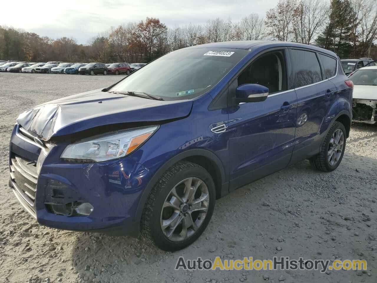 2013 FORD ESCAPE SEL, 1FMCU9H91DUC84452