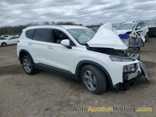 HYUNDAI SANTA FE SEL, 5NMS2DAJ6PH511921