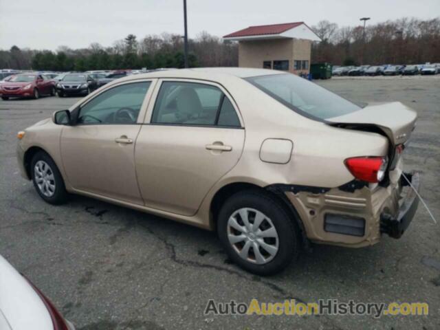 TOYOTA COROLLA BASE, 2T1BU4EE9CC817695