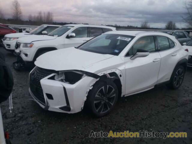 LEXUS UX 250H 250H, JTHX9JBH9L2027895