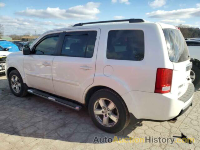 HONDA PILOT EXL, 5FNYF4H59BB503555