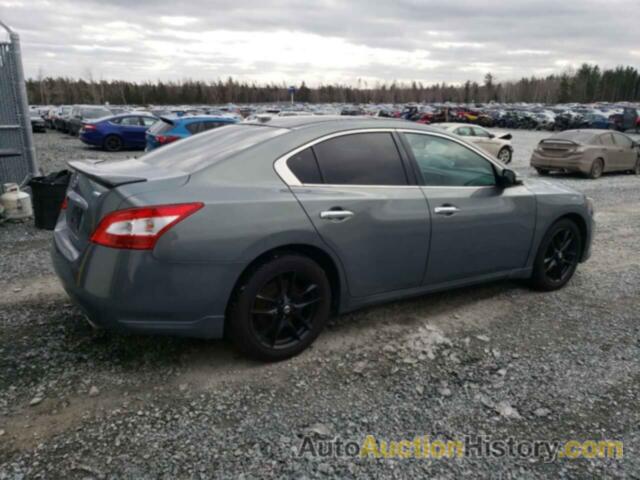 NISSAN MAXIMA S, 1N4AA5AP1BC856070