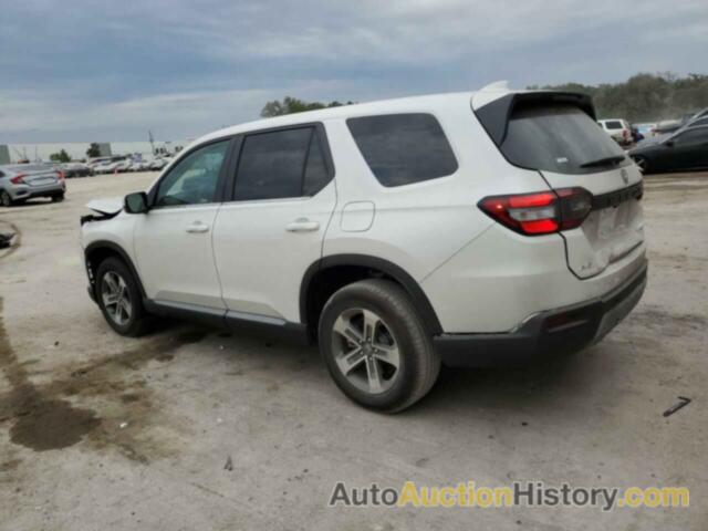 HONDA PILOT EXL, 5FNYG1H41PB057007