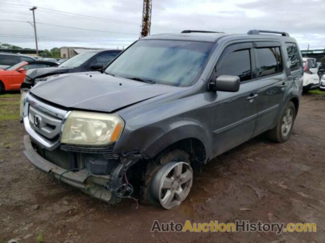 HONDA PILOT EXL, 5FNYF4H69BB046206