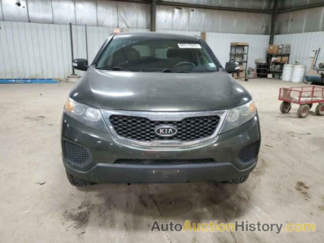 KIA SORENTO BASE, 5XYKTCA13BG095840