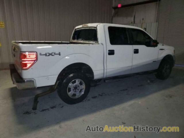 FORD F-150 SUPERCREW, 1FTFW1ET1BFC04159