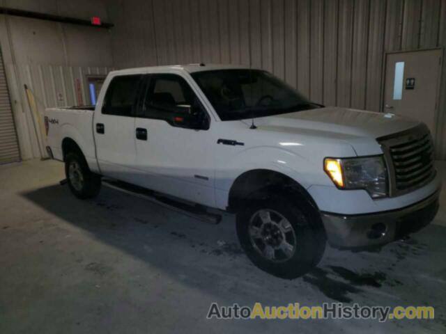 FORD F-150 SUPERCREW, 1FTFW1ET1BFC04159