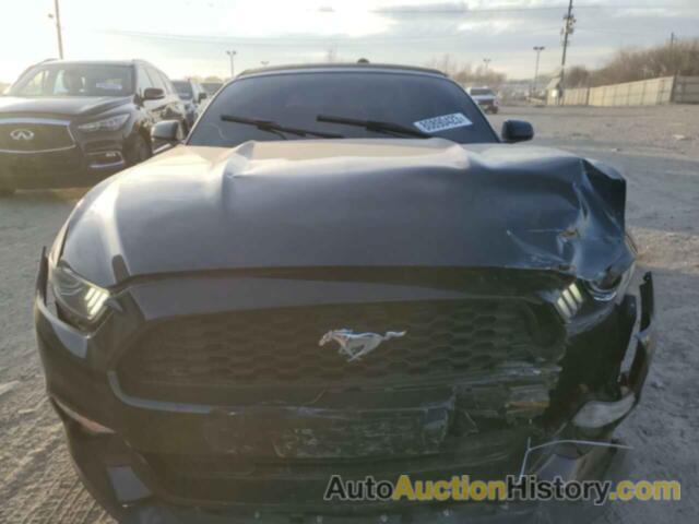 FORD ALL OTHER, 1FATP8EM0G5291346