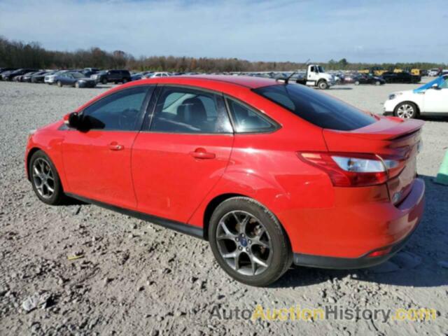 FORD FOCUS SE, 1FADP3F21DL121301