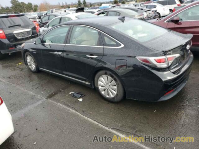 HYUNDAI SONATA HYBRID, KMHE24L10GA014556