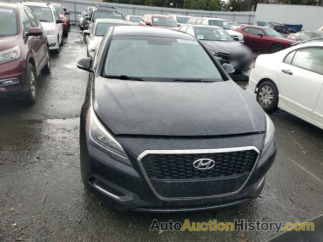 HYUNDAI SONATA HYBRID, KMHE24L10GA014556