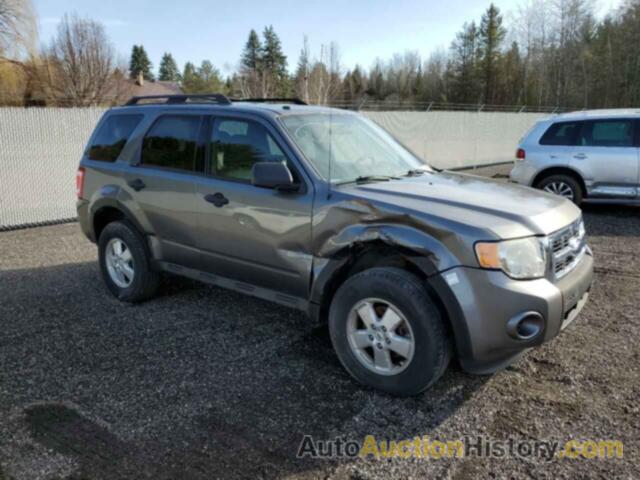 FORD ESCAPE XLT, 1FMCU03G49KA11087