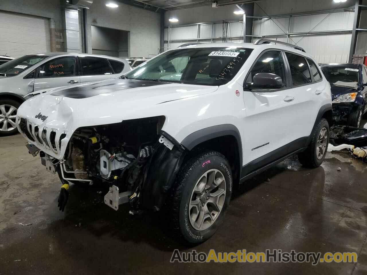 JEEP CHEROKEE TRAILHAWK, 1C4PJMBX9LD566295