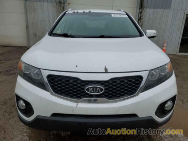 KIA SORENTO BASE, 5XYKT3A10BG101884