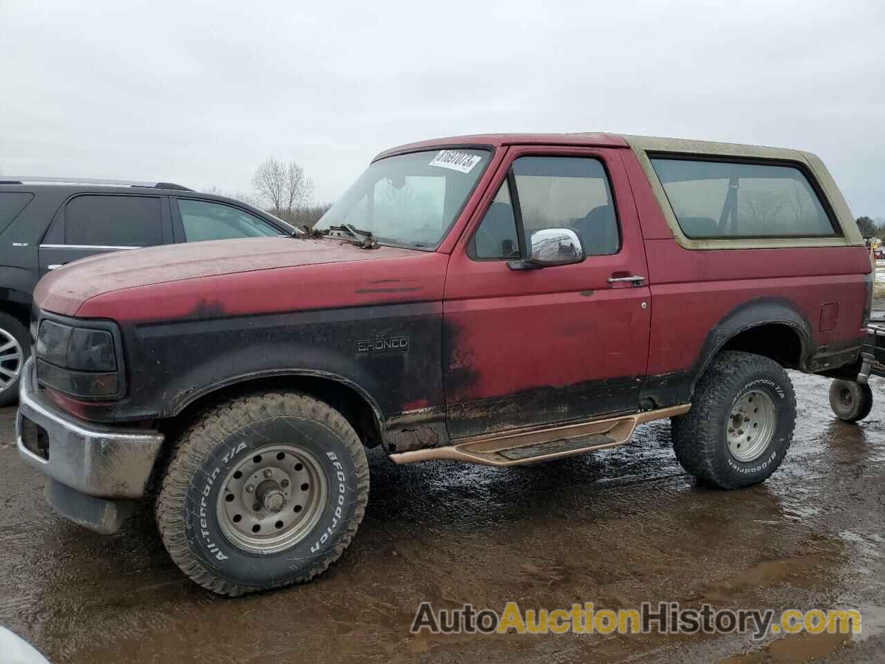 FORD BRONCO U100, 1FMEU15H2RLB03703