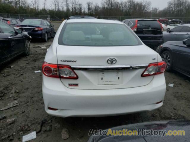 TOYOTA COROLLA BASE, 2T1BU4EE8BC744060