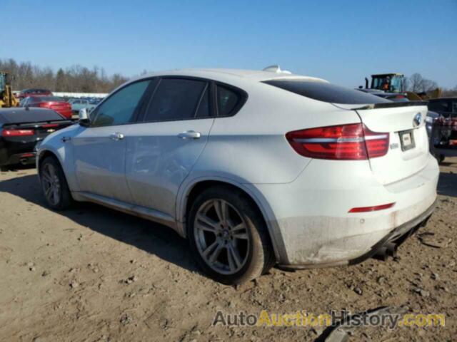 BMW X6 M, 5YMGZ0C55DLL29980