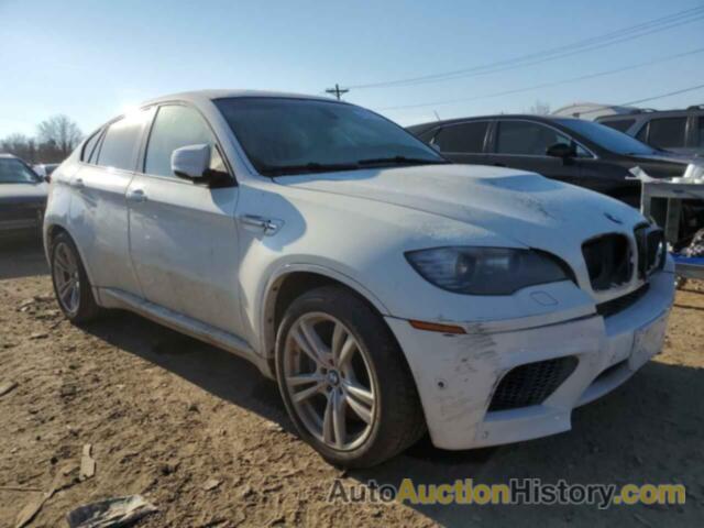 BMW X6 M, 5YMGZ0C55DLL29980