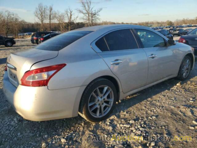 NISSAN MAXIMA S, 1N4AA5AP7BC804880