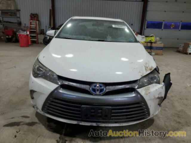 TOYOTA CAMRY LE, 4T4BF1FK3GR545233