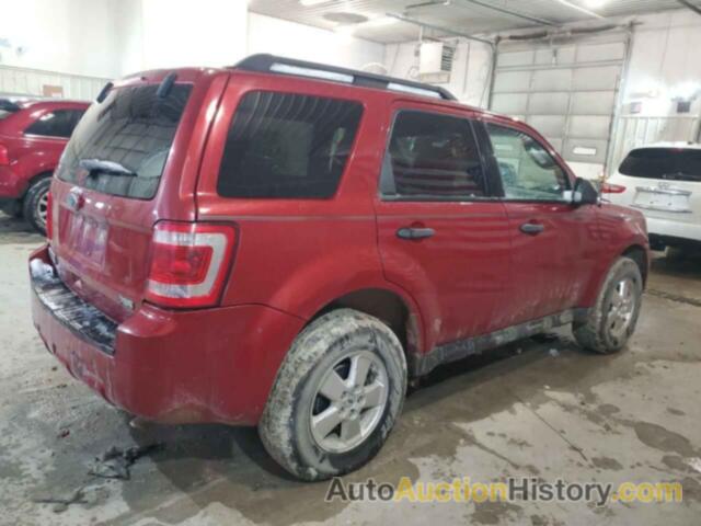 FORD ESCAPE XLT, 1FMCU0DG6BKA81453