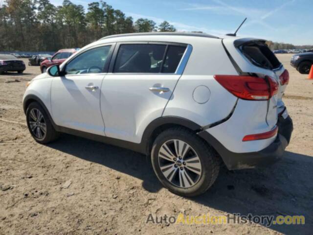 KIA SPORTAGE EX, KNDPC3AC7G7837880