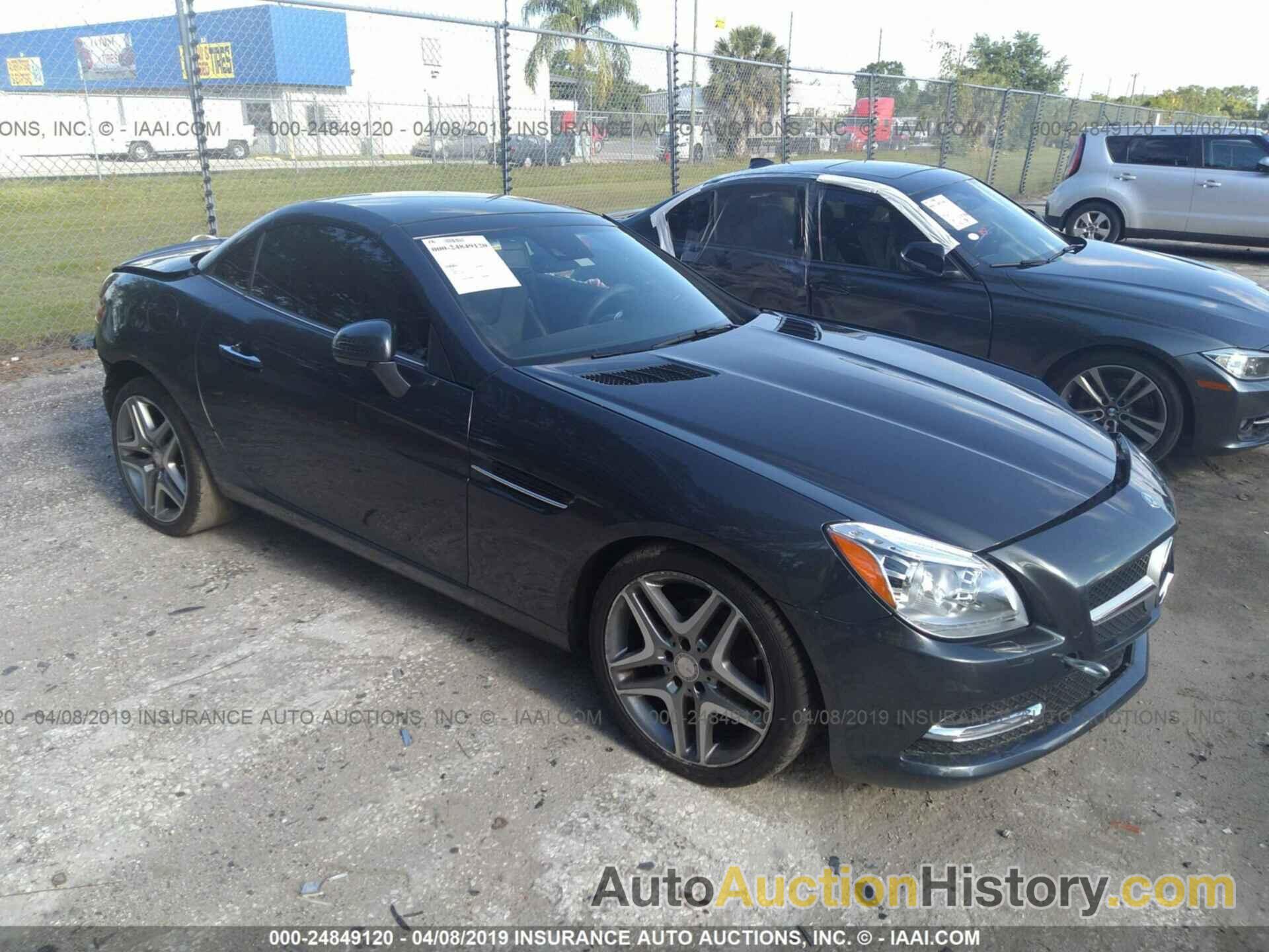 MERCEDES-BENZ SLK 250, WDDPK4HA7DF067863