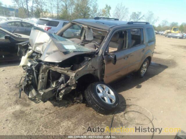 HONDA PILOT EX-L, 5FNYF4H73BB032875