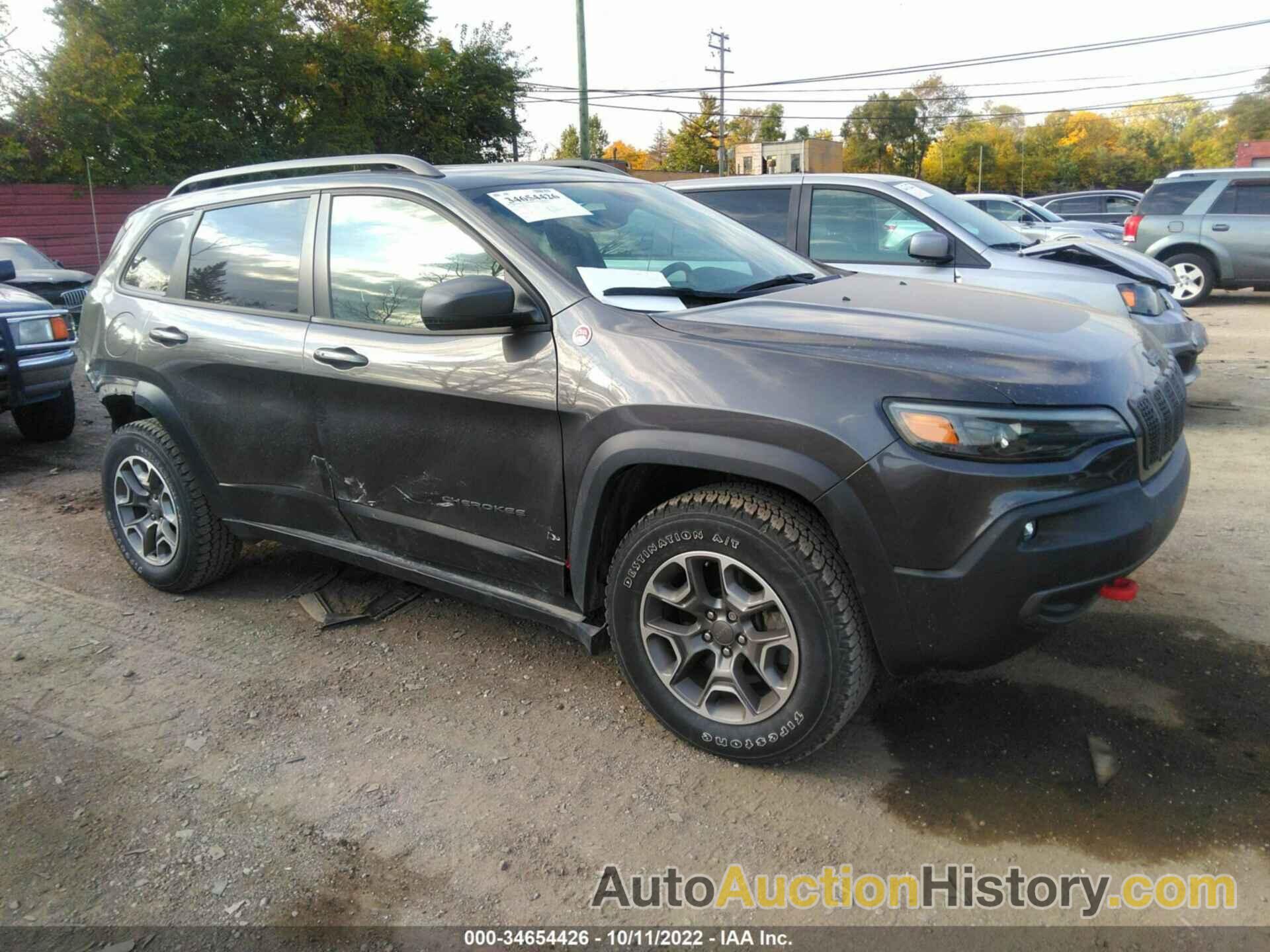 JEEP CHEROKEE TRAILHAWK, 1C4PJMBX9LD579743