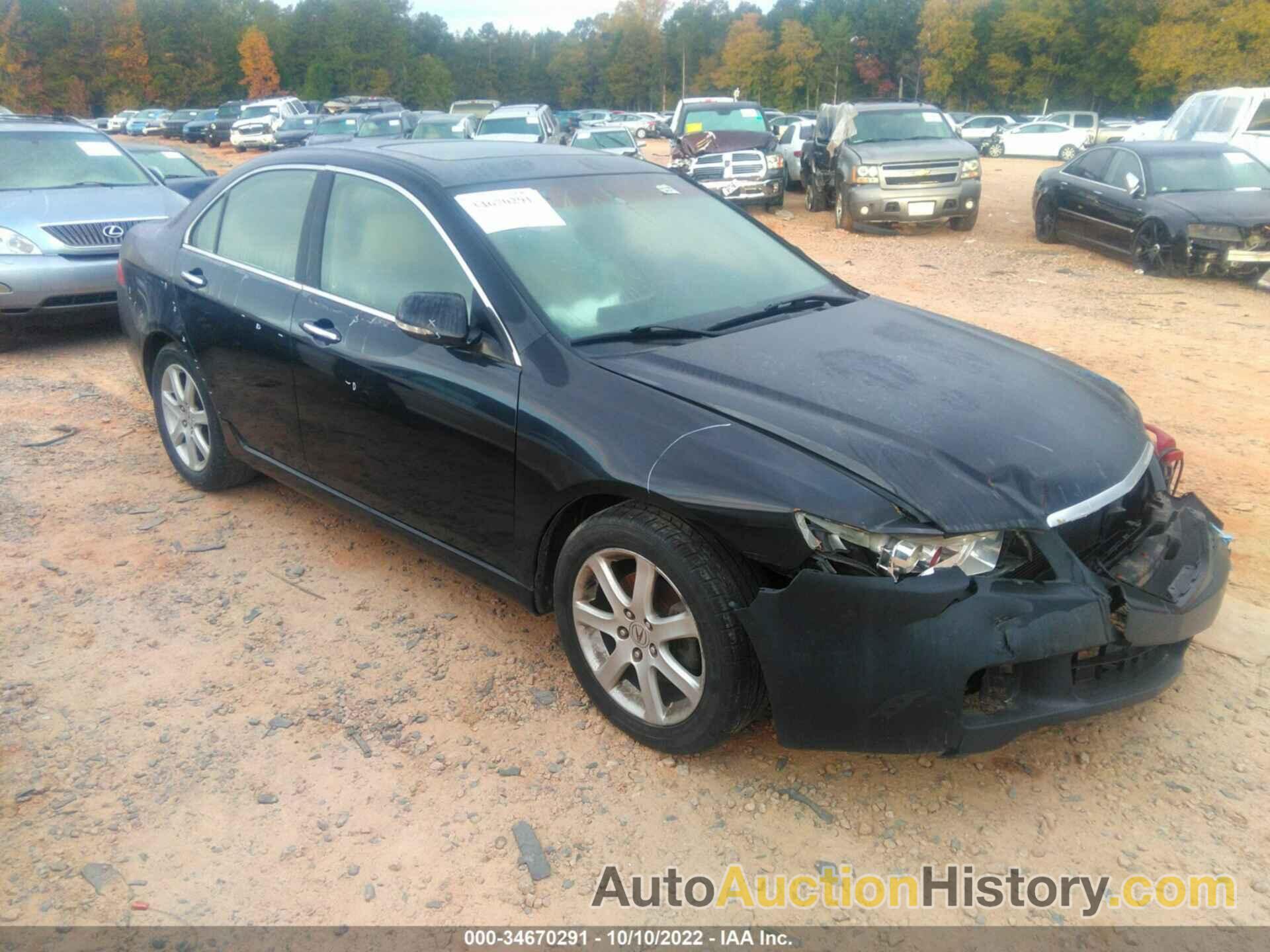 ACURA TSX, JH4CL96845C004272