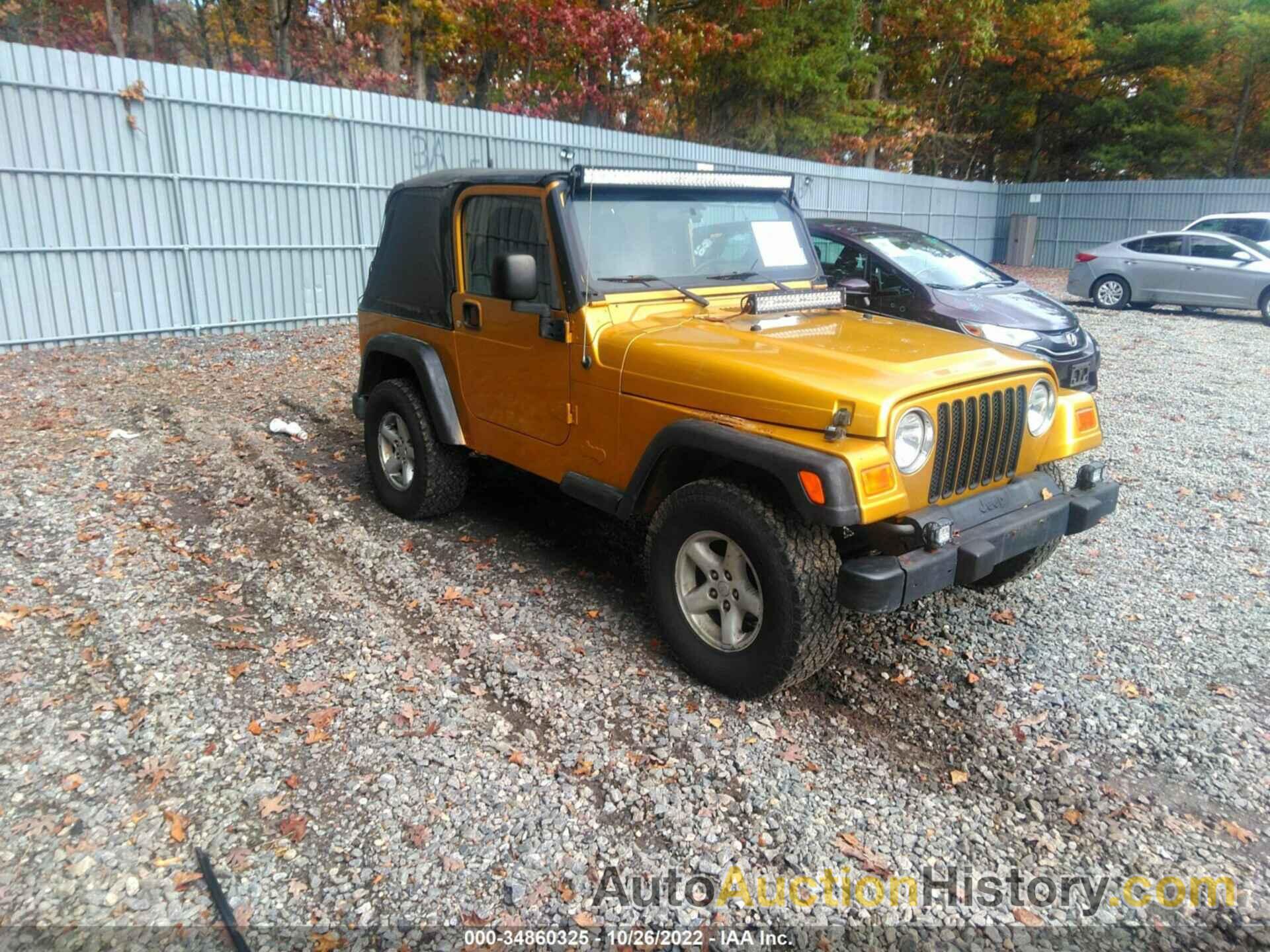 JEEP WRANGLER X, 1J4FA39S13P334508