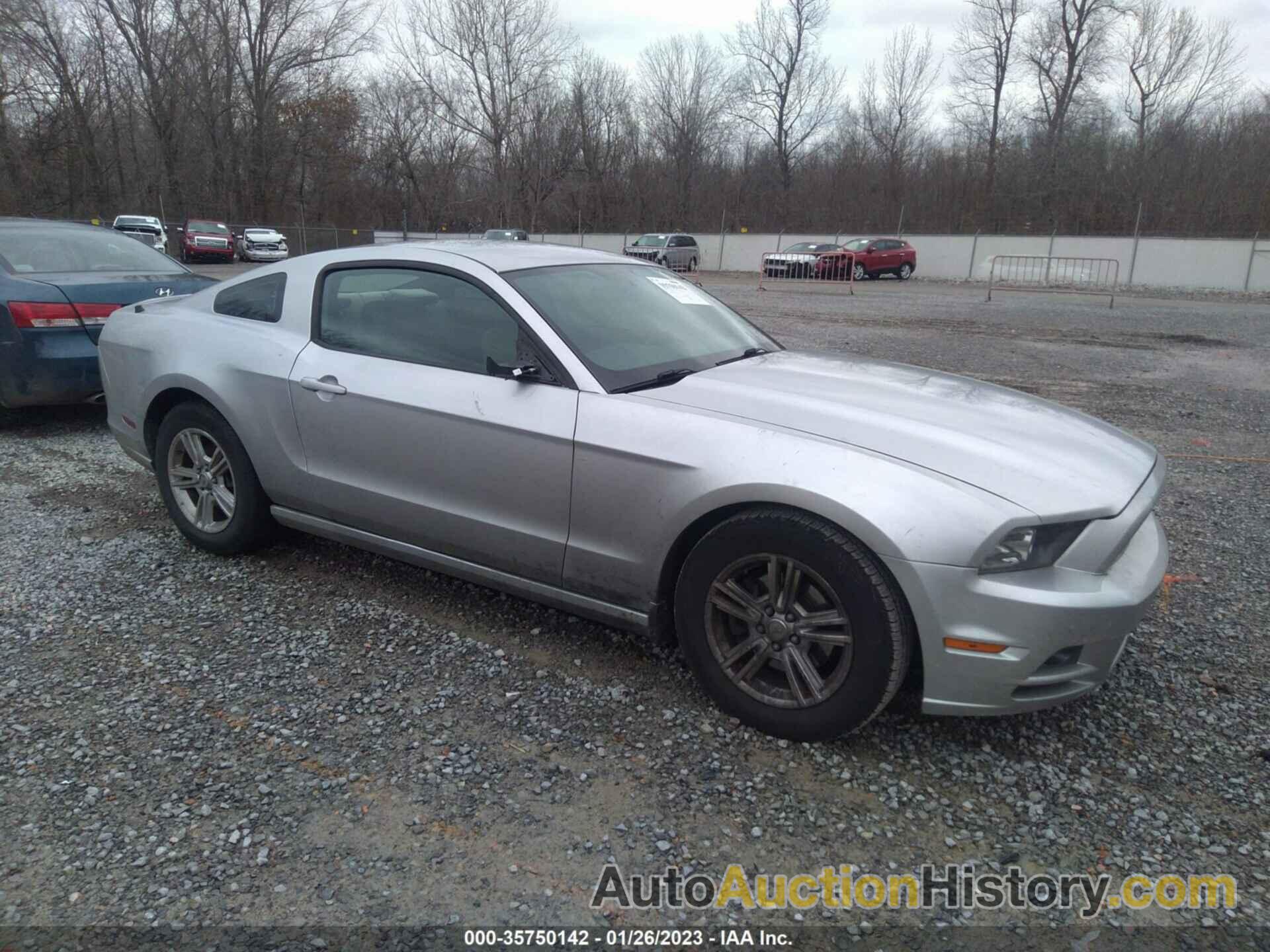 FORD MUSTANG V6, 1ZVBP8AMXD5277314