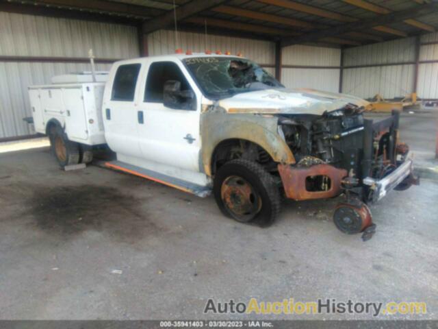 FORD F-450 CHASSIS XL, 1FD0W4HT4DEA57925