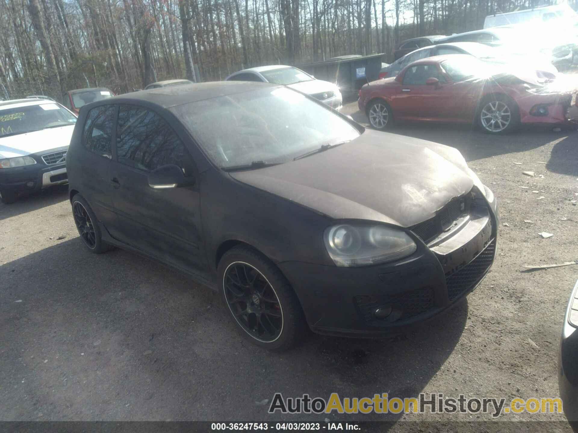 VOLKSWAGEN NEW GTI, WVWFV71K66W134599