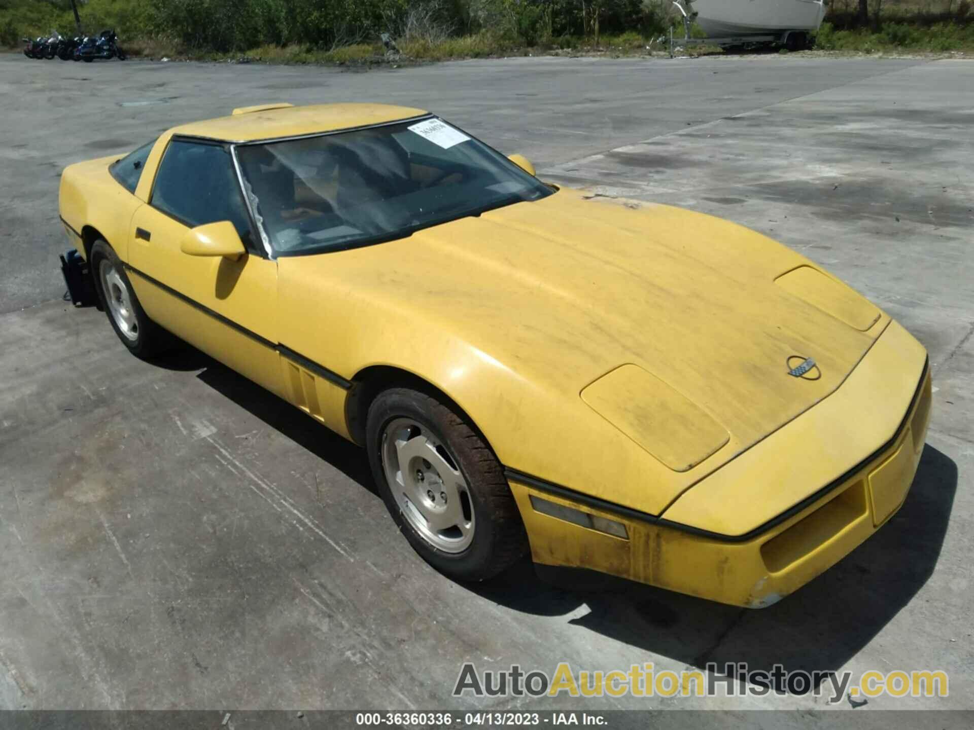 CHEVROLET CORVETTE, 1G1YY2185J5111359