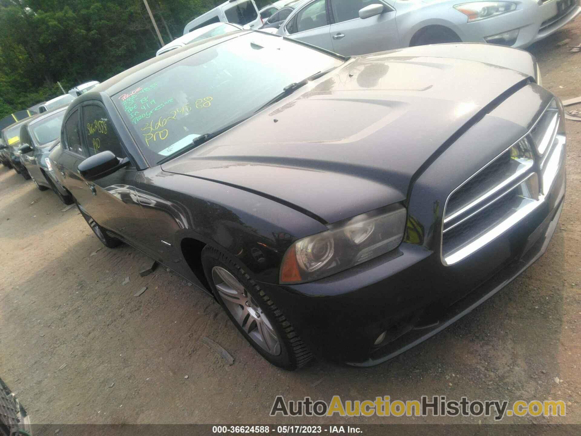 DODGE CHARGER RT, 2C3CDXCT9DH701559