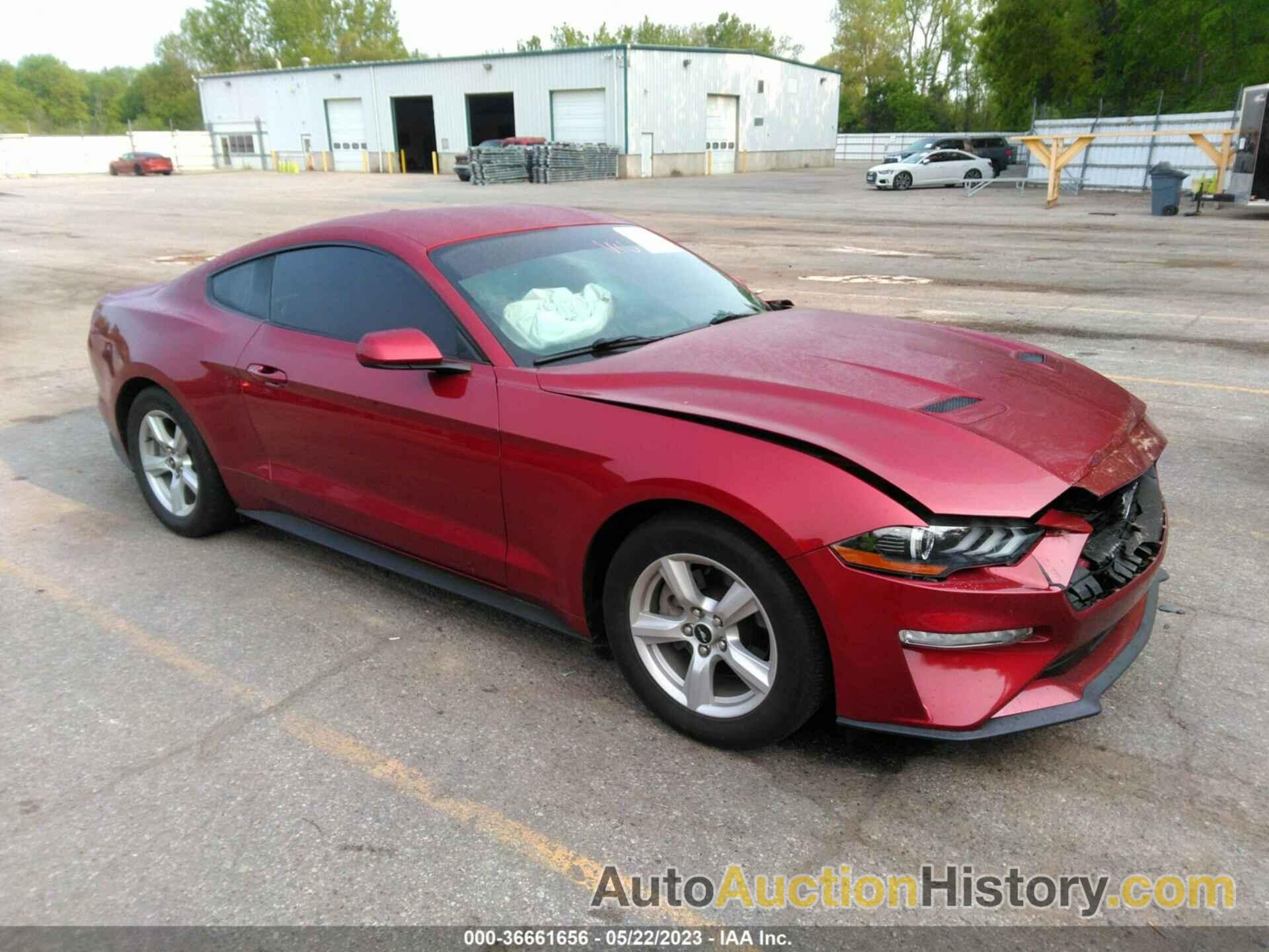 FORD MUSTANG ECOBOOST, 1FA6P8TH7K5204621