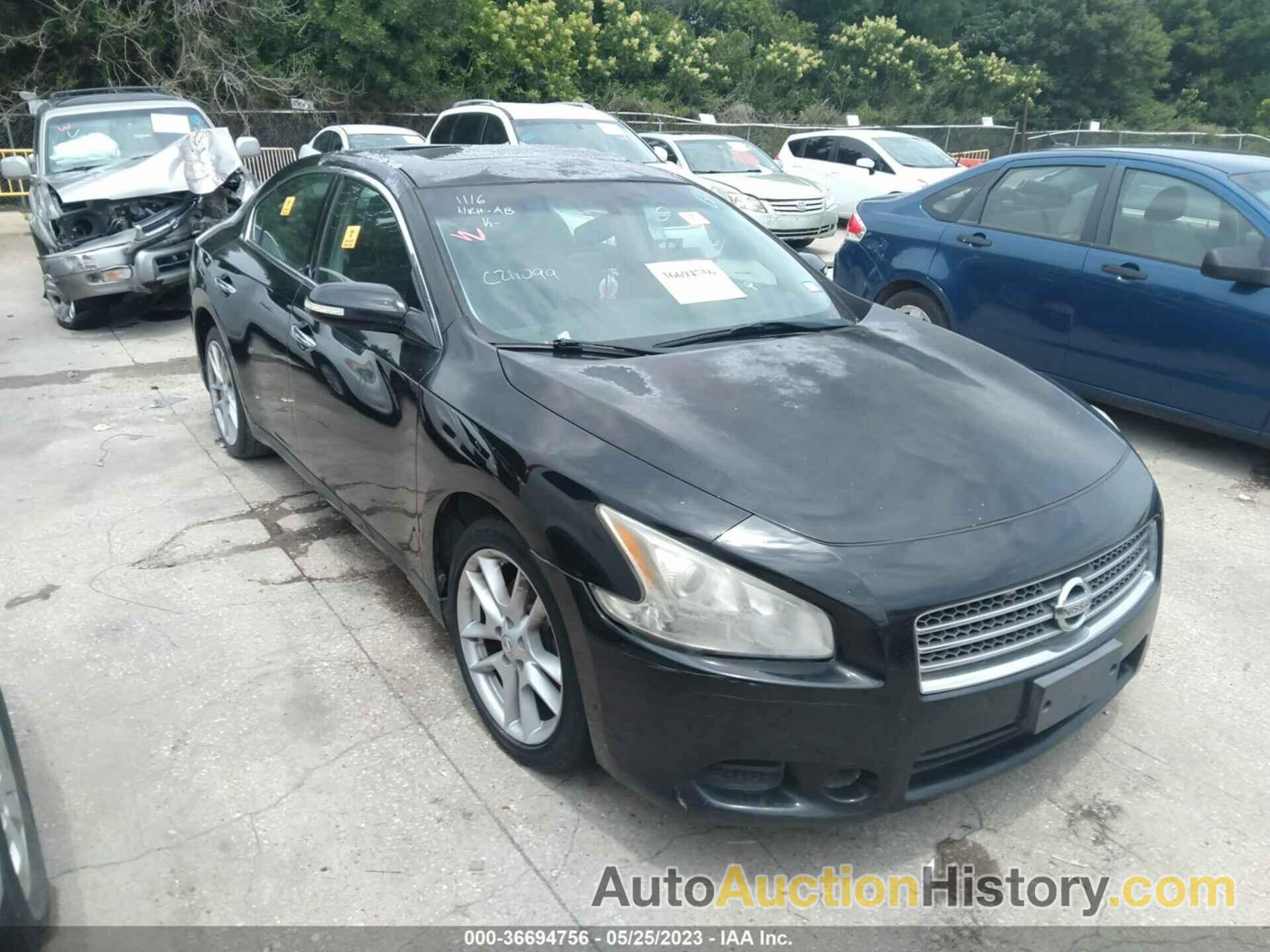 NISSAN MAXIMA 3.5 SV, 1N4AA5AP2BC811526